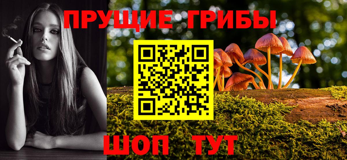 Псилоцибиновые грибы Cubensis Родники
