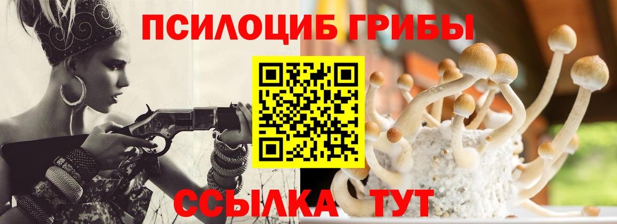 Галлюциногенные грибы MAGIC MUSHROOMS  Вход с VPN  Псилоцибиновые грибы Psilocybe  Родники 